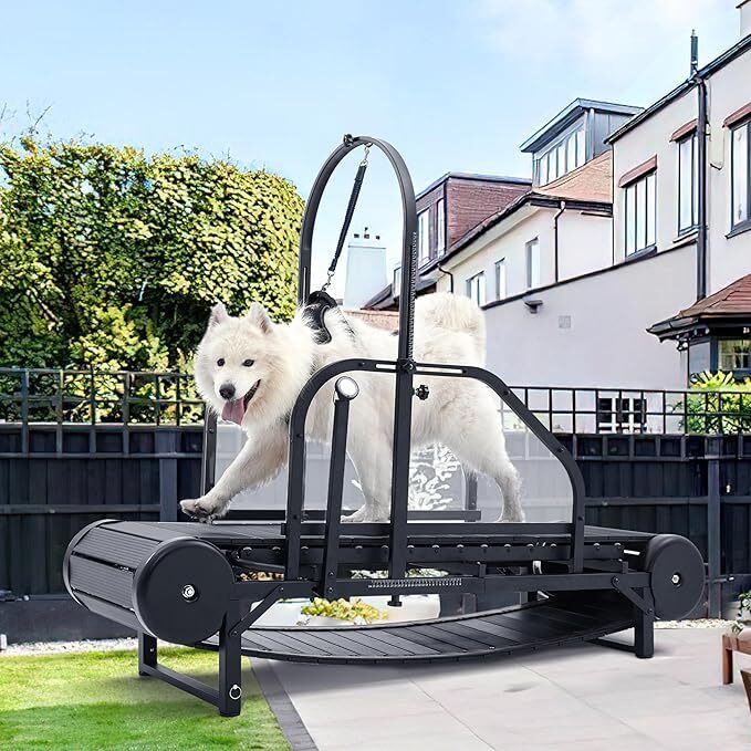 Non Electric Dog Treadmill