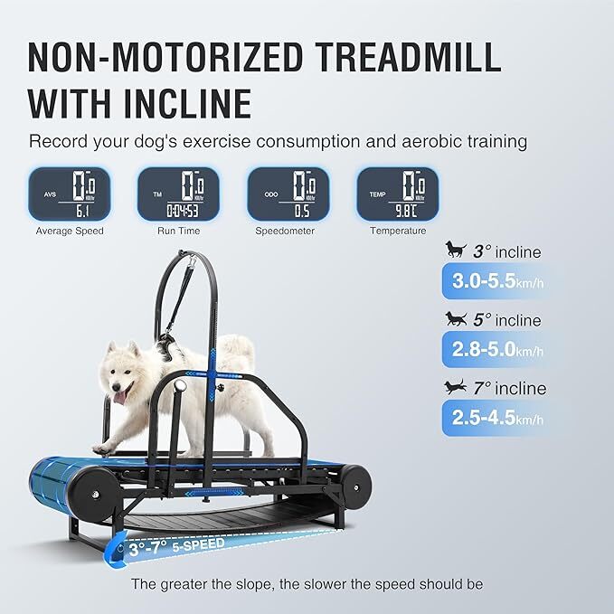 Non Electric Dog Treadmill