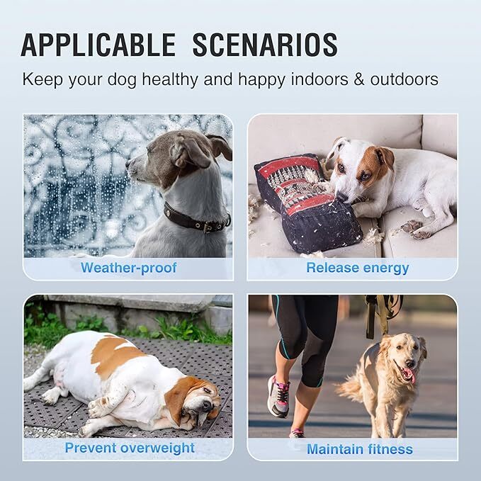 Non Electric Dog Treadmill